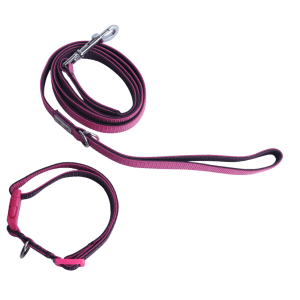 Conjunto de collar y correa Xinu Xanu Nylon rosa